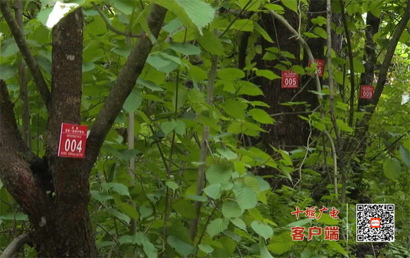 QQ图片20230512172447