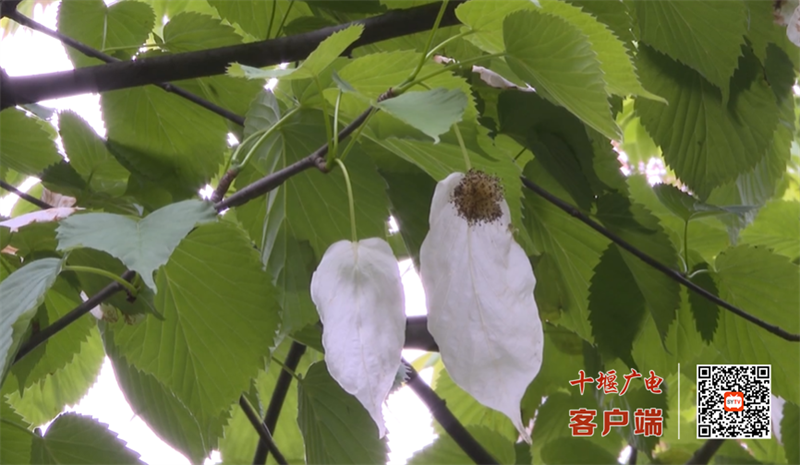 QQ图片20230512172357