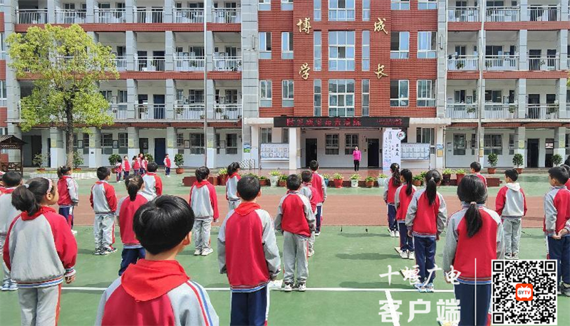 图片11