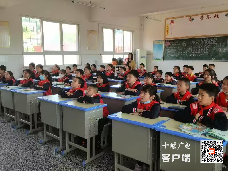QQ图片20230513204643