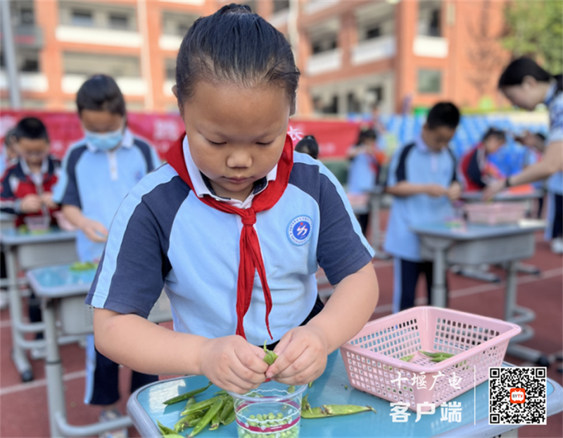 剥豆子比赛