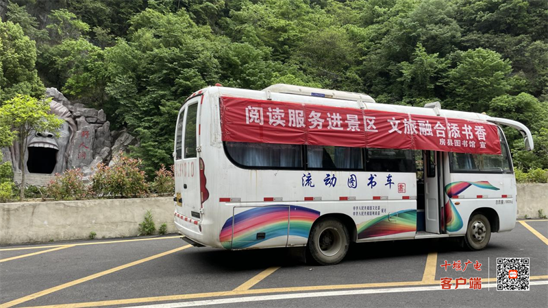 图片5