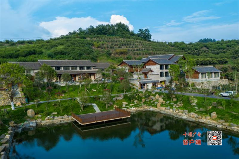 图片 6