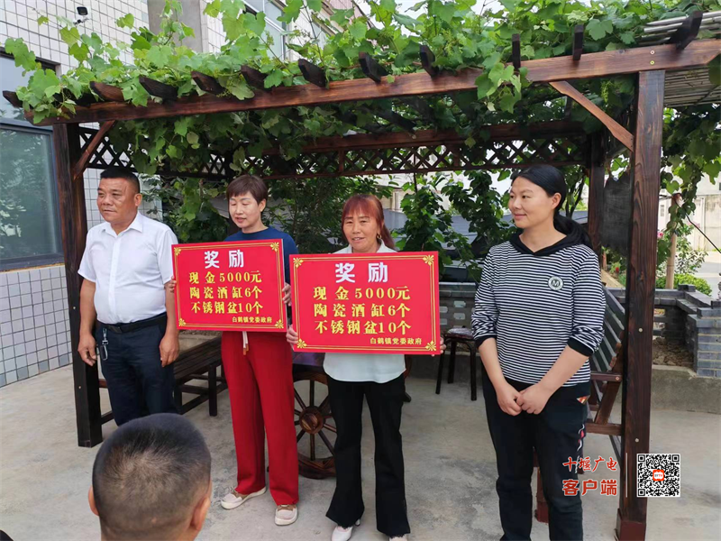 图片5