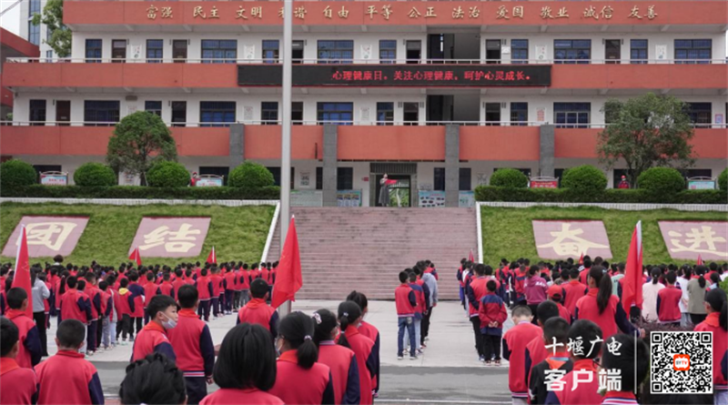 新区小学