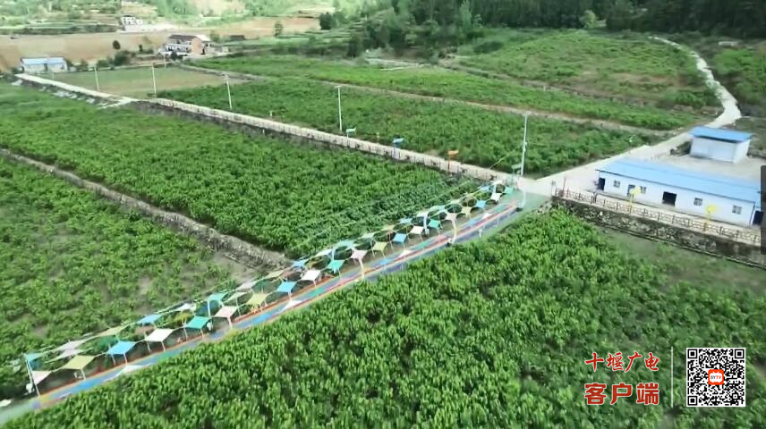 QQ截图20230523204824