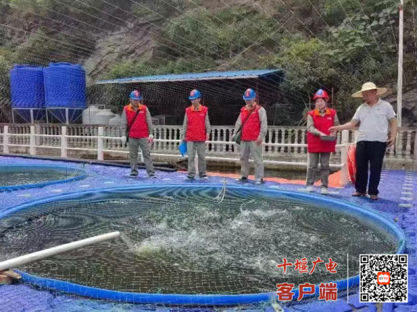 微信图片_20230525102105_副本