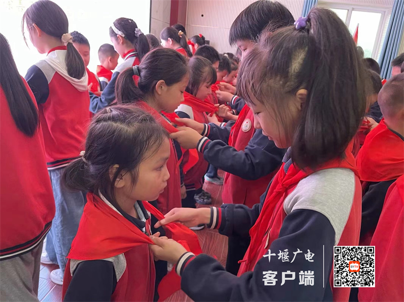 微信图片_20230527163322_副本