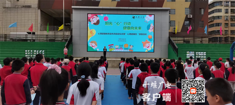 微信图片_20230527165230_副本