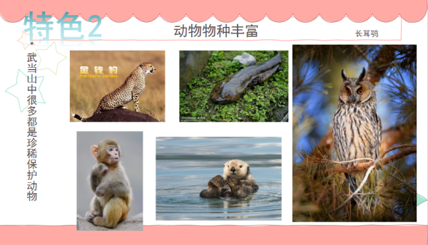 QQ截图20230524153632