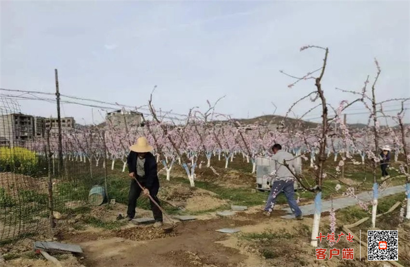 微信图片_20230529151903