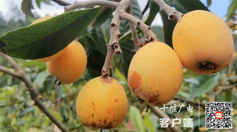 QQ图片20230529164647_副本