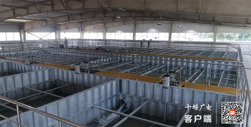 QQ截图20230531174835