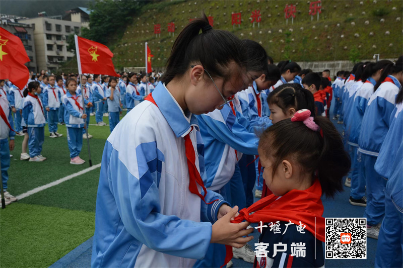 微信图片_20230601112935_副本