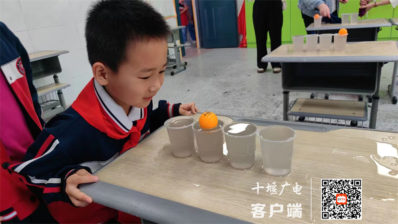 微信图片_20230601112941_副本