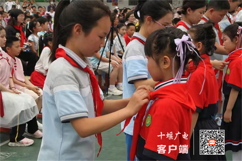 微信图片_20230601114214_副本