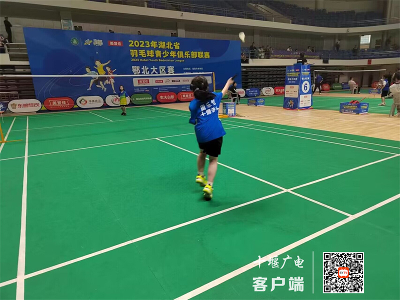 QQ图片20230602103528_副本