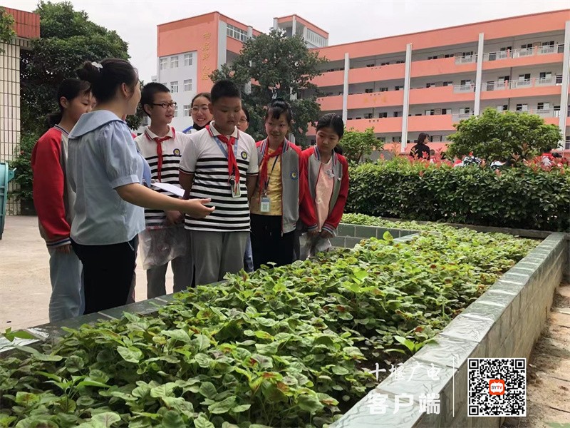 微信图片_20230603182738_副本