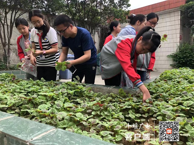 微信图片_20230603182748_副本