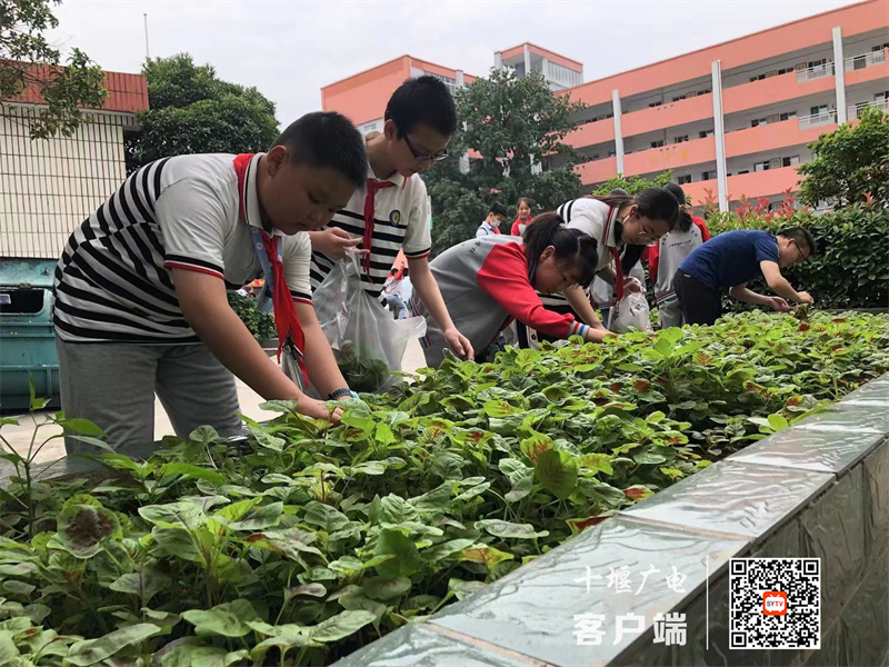 微信图片_20230603182750_副本