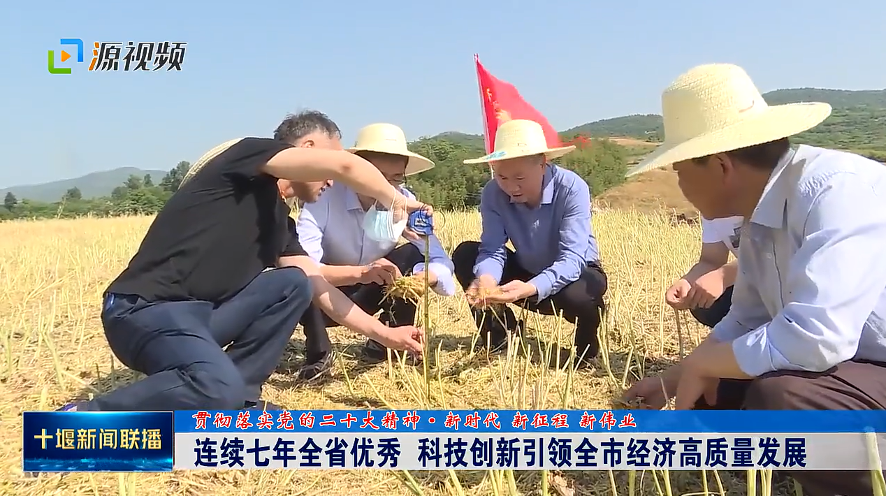 QQ图片20230603193238