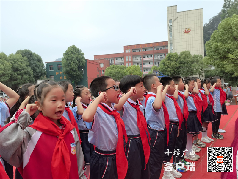 2023十堰市东风40学校开展新队员入队仪式 (3)
