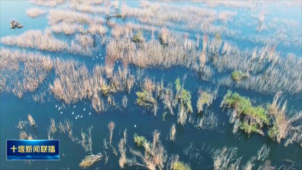 维护生物多样性  共筑美好家园.mp4_20230605_202430450