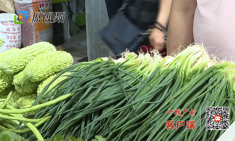 QQ图片20230606200755