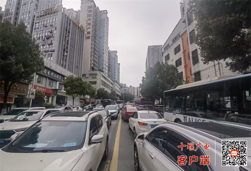 QQ图片20230607081053_副本
