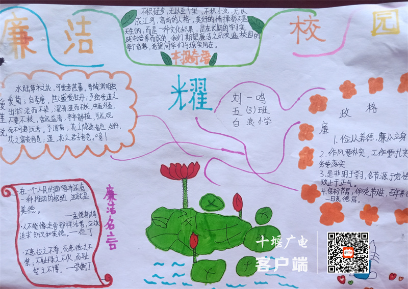 图8_副本