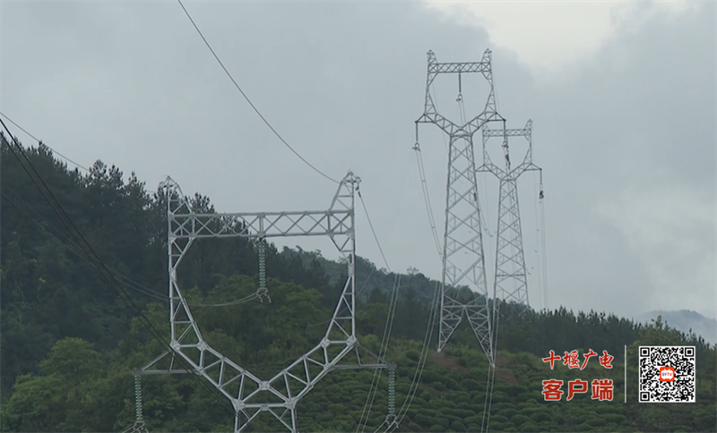 QQ图片20230607201427