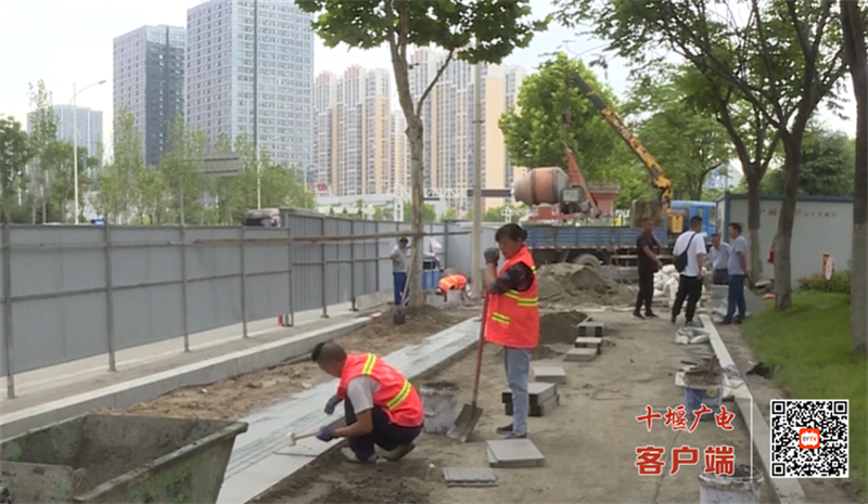 QQ图片20230608163125