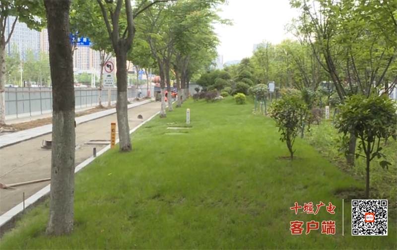 QQ图片20230608163218