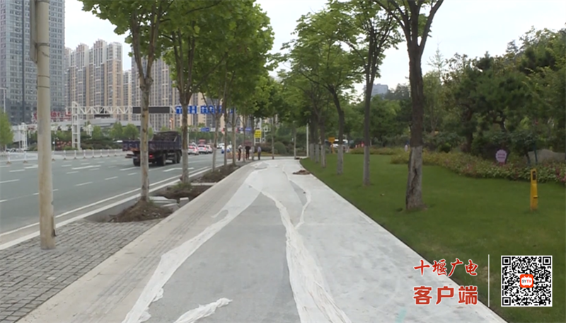 QQ图片20230608163316