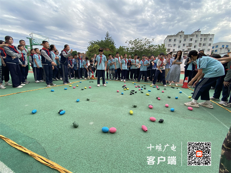 微信图片_20230608210941_副本