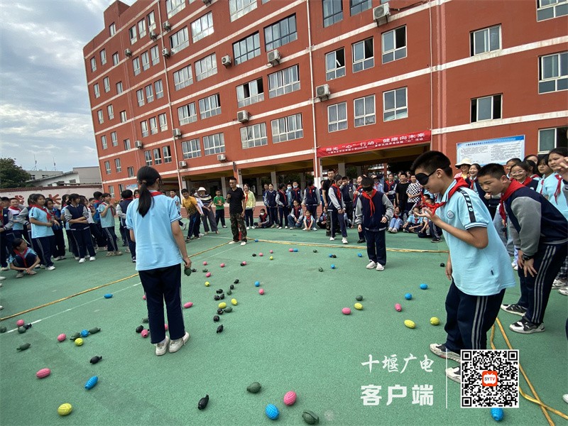 微信图片_20230608210950_副本