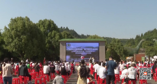 QQ截图20230610170248