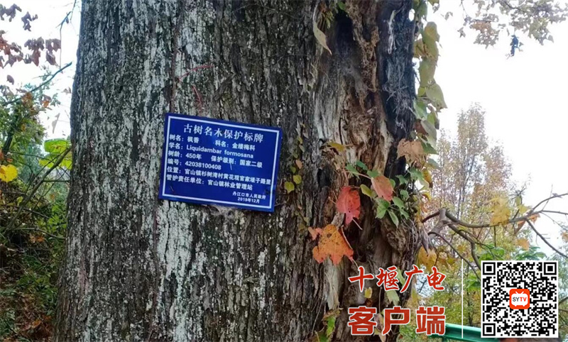 QQ截图20230612114712