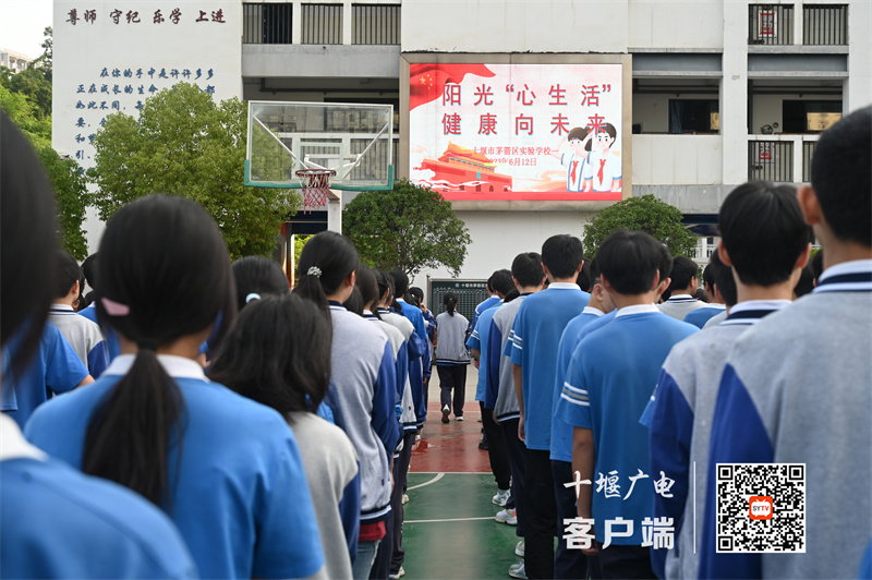 微信图片_20230613133007_副本