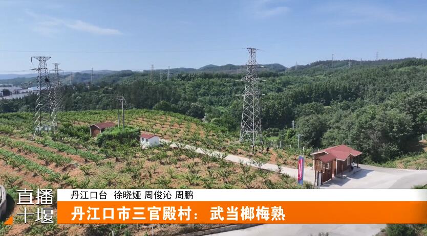 QQ截图20230613193349
