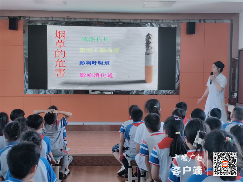 图片3