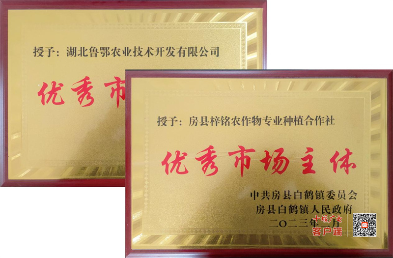 图片 2