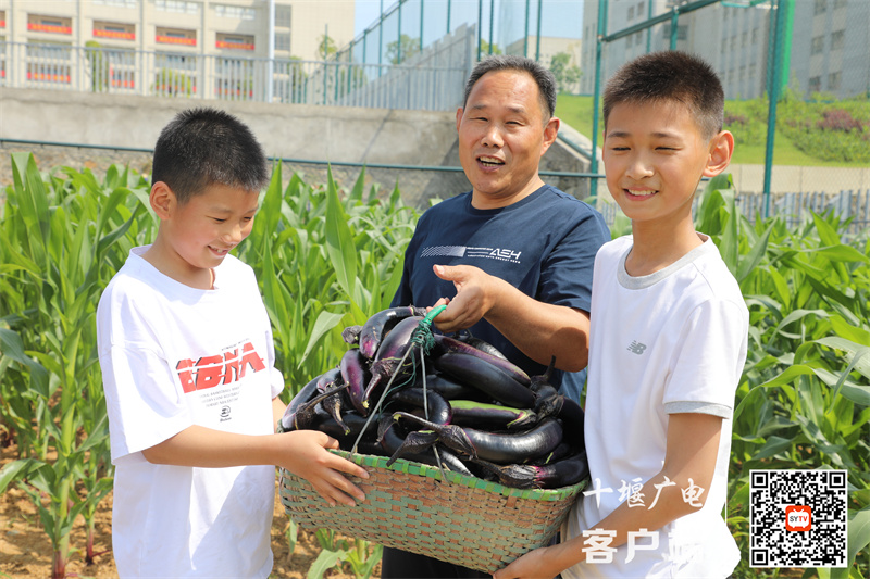 图三