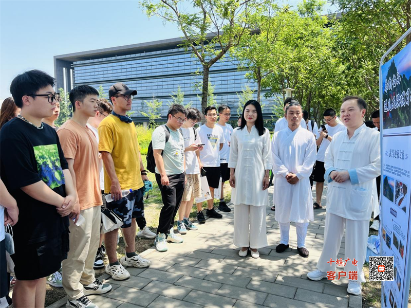 图片 7