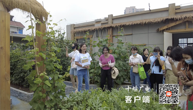 微信图片_20230617130720_副本