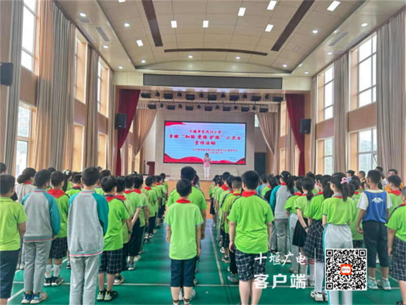 微信图片_20230618131313_副本