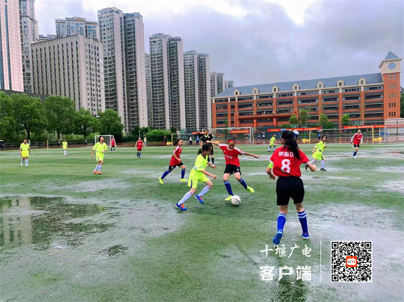 微信图片_20230620191509_副本