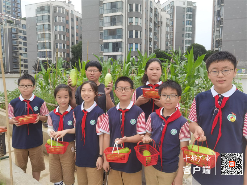 图片4