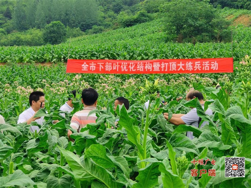 21_副本