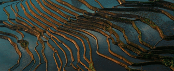 UID20230622233138557568
